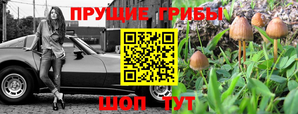 Новочебоксарск  Псилоцибиновые грибы MAGIC MUSHROOMS  Псилоцибиновые грибы мицелий  Вход с VPN 